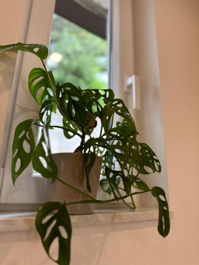 Olive View Apartment Brela Esterno foto