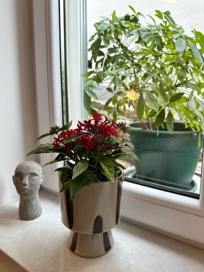 Olive View Apartment Brela Esterno foto